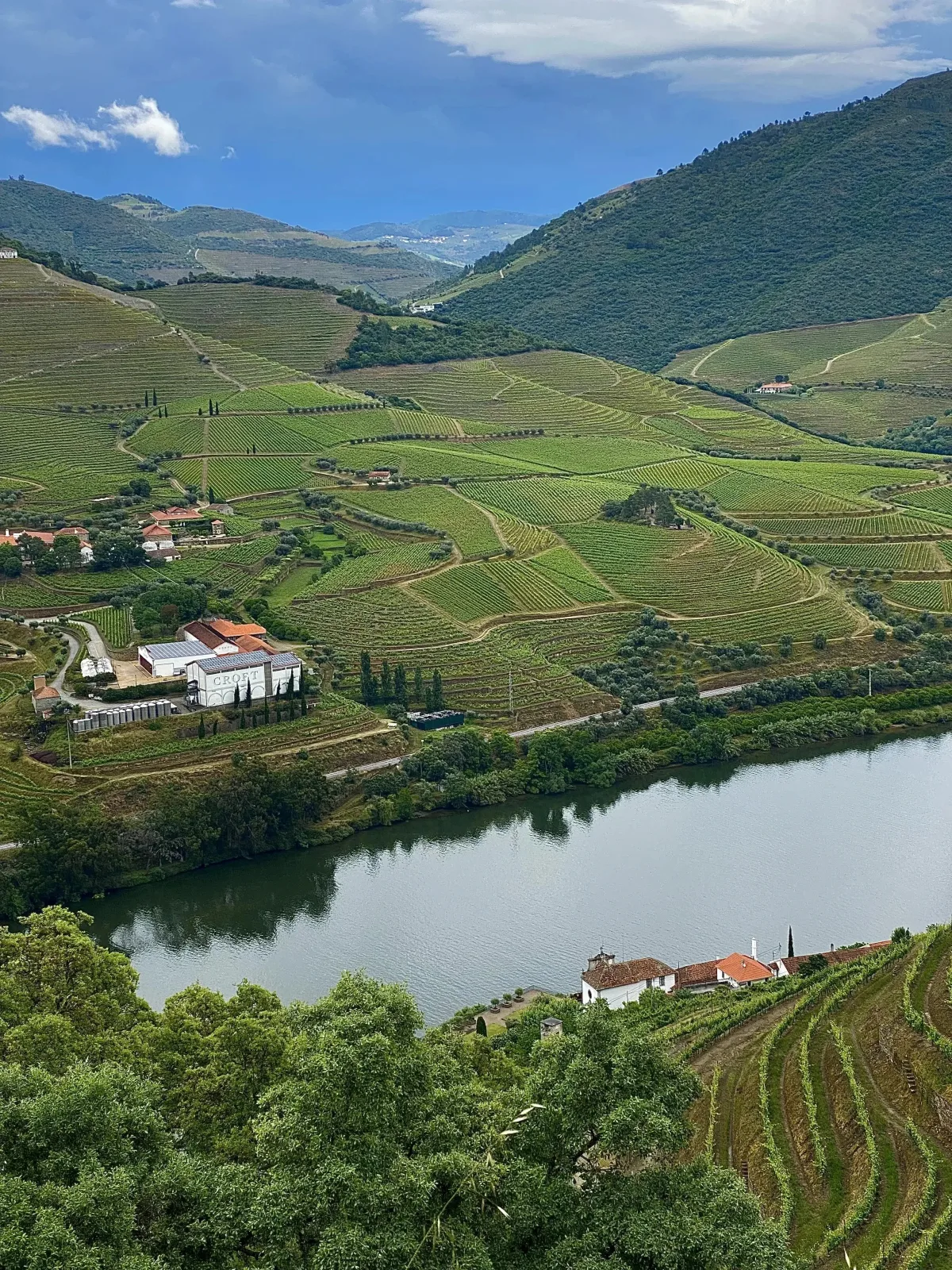view from Quinta das Carvalhas