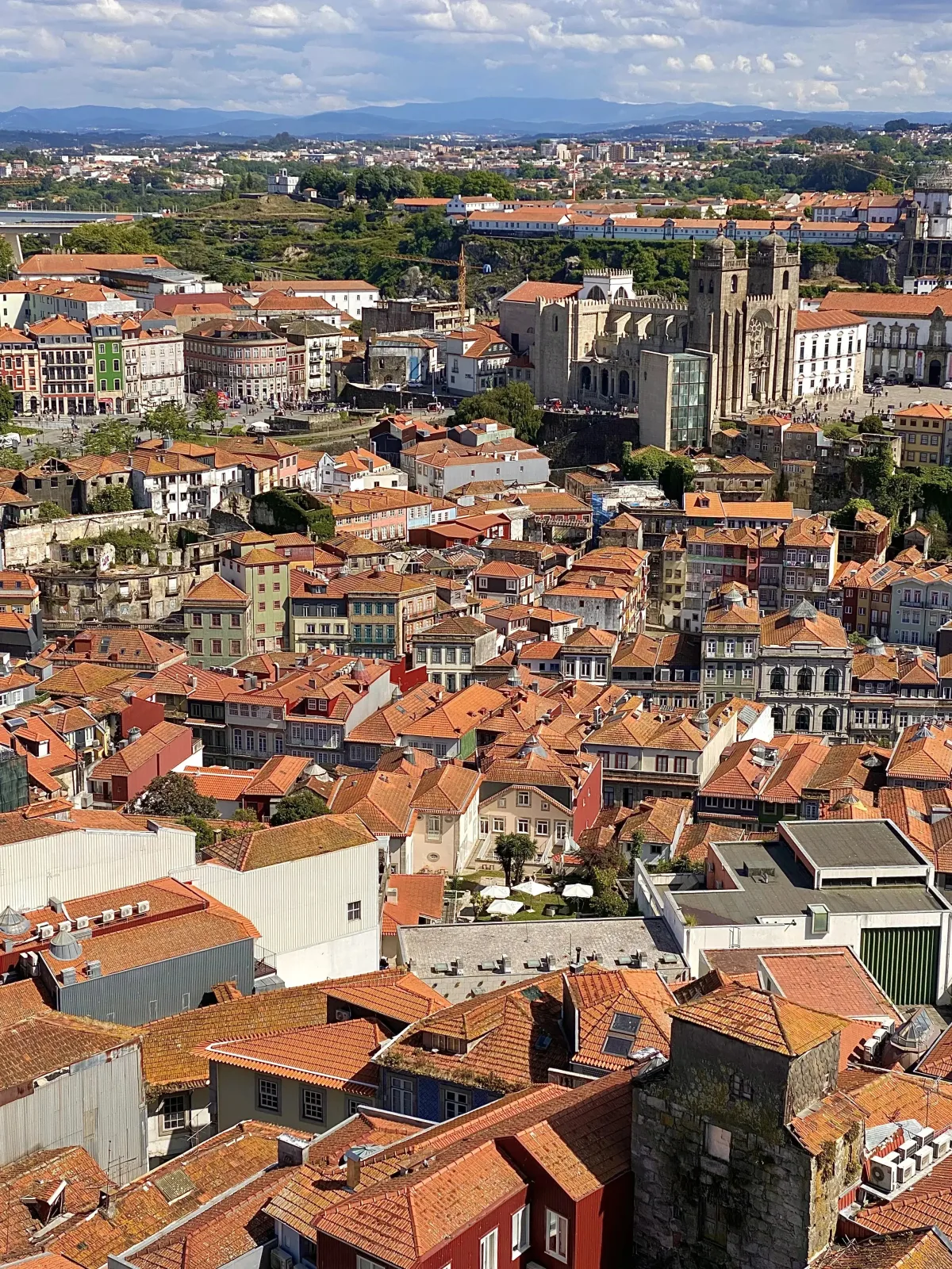 view from Torre dos Clérigos